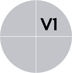 Shade Variation: V1