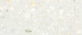 TERRAZZO 12X24 WHITE POLYSHED | Alfagres