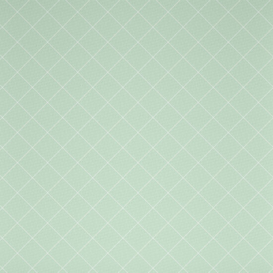 BORGO GREEN SH