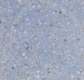 BALD. VITA CIELO LPBS 12x12 | Alfagres