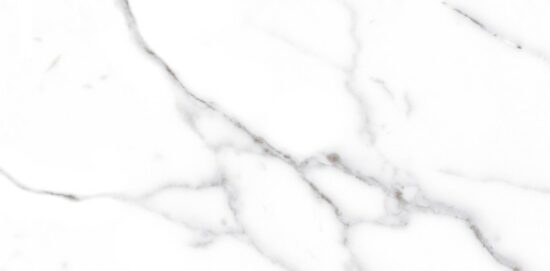 ESSENCE ICE MT 30x60