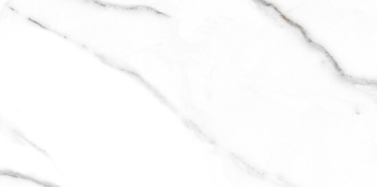 ESSENCE ICE ST 30x60