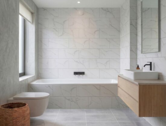 ESSENCE ICE ST 30x60 | Alfagres